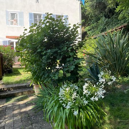 Les Agapanthes Bed and Breakfast Vaux-en-Beaujolais Exteriör bild