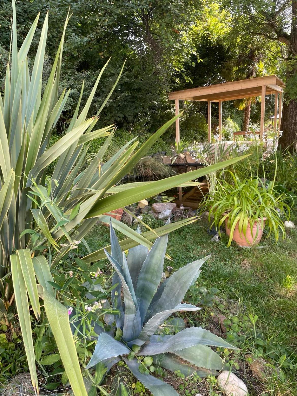 Les Agapanthes Bed and Breakfast Vaux-en-Beaujolais Exteriör bild