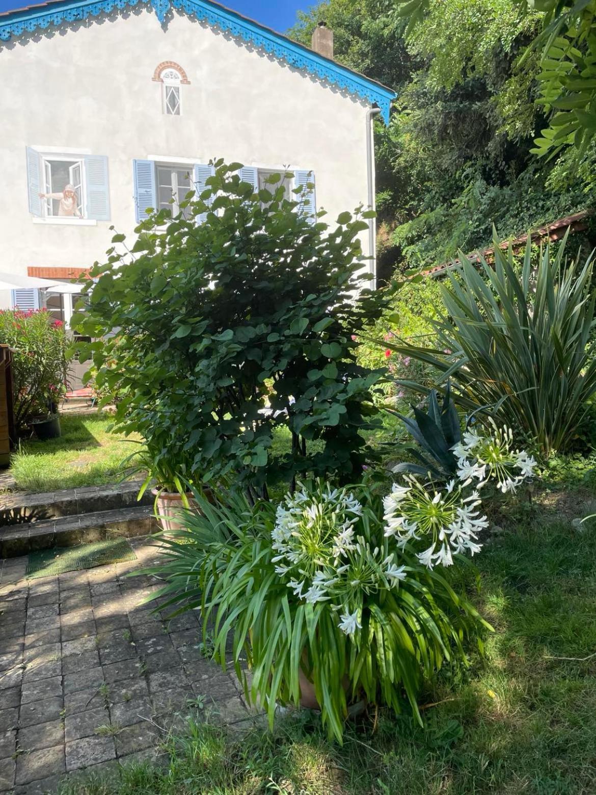 Les Agapanthes Bed and Breakfast Vaux-en-Beaujolais Exteriör bild
