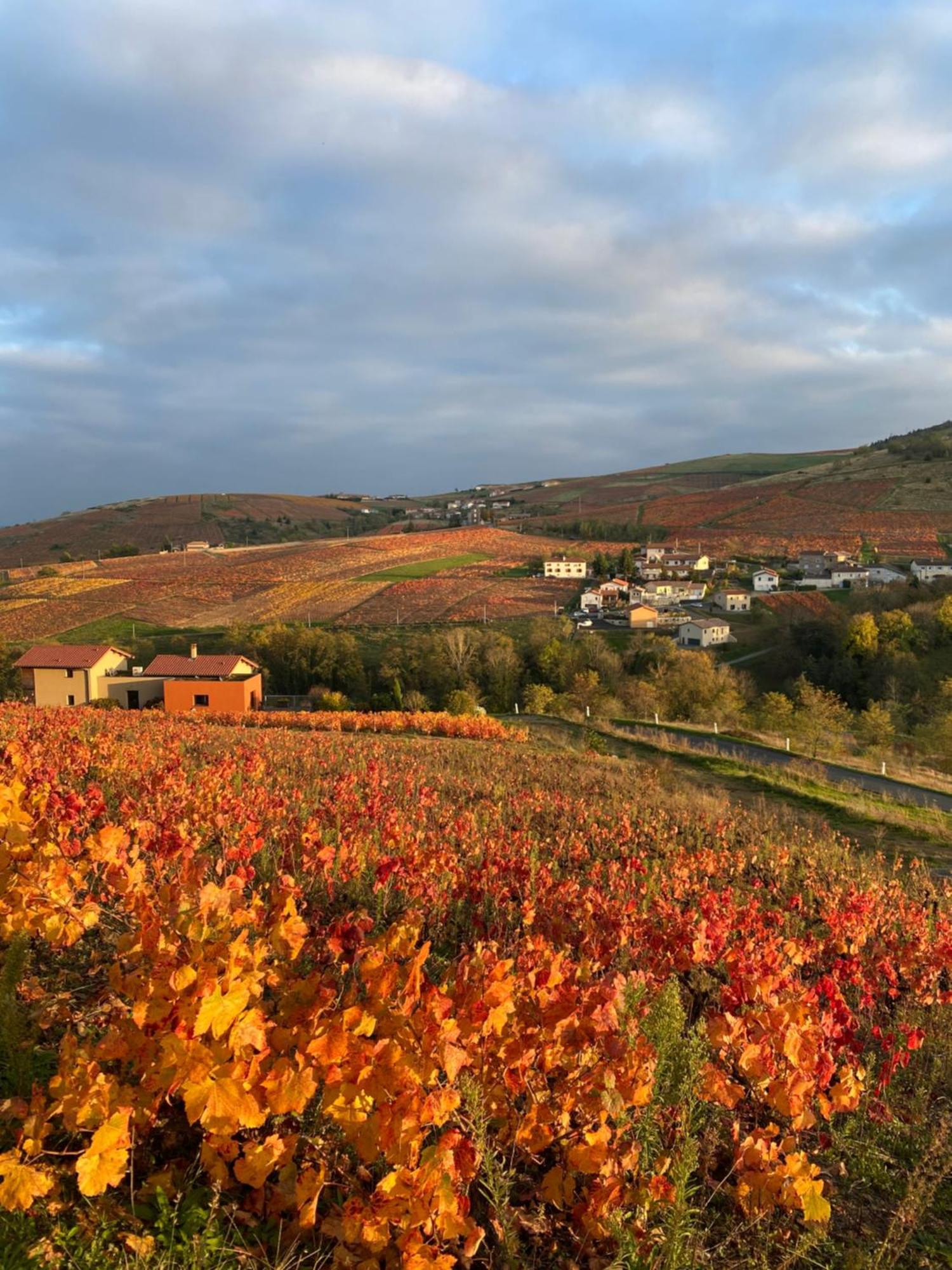 Les Agapanthes Bed and Breakfast Vaux-en-Beaujolais Exteriör bild