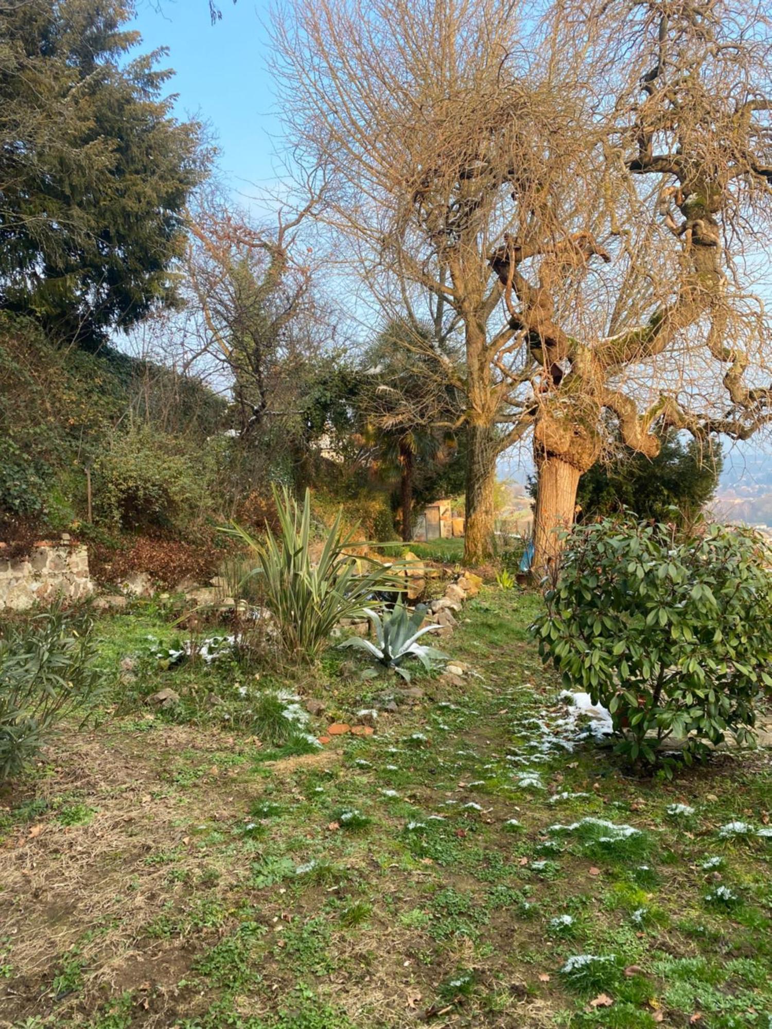 Les Agapanthes Bed and Breakfast Vaux-en-Beaujolais Exteriör bild